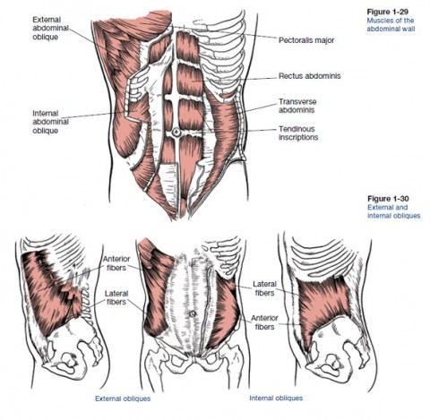 Core Training for Skiing