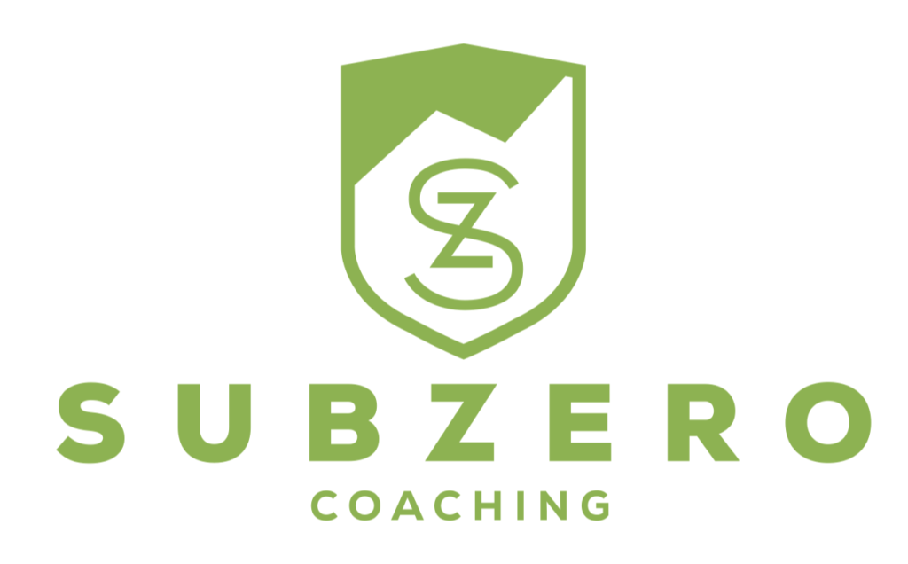subzero coaching ski instructor gap course, testimonials