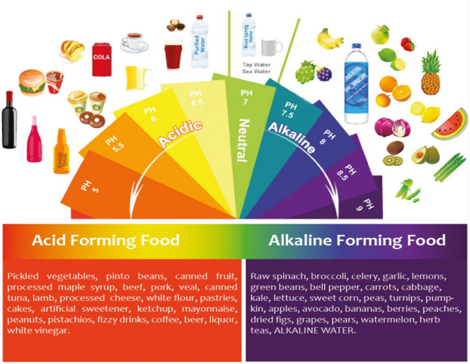 Ski instructor educations nutrition 